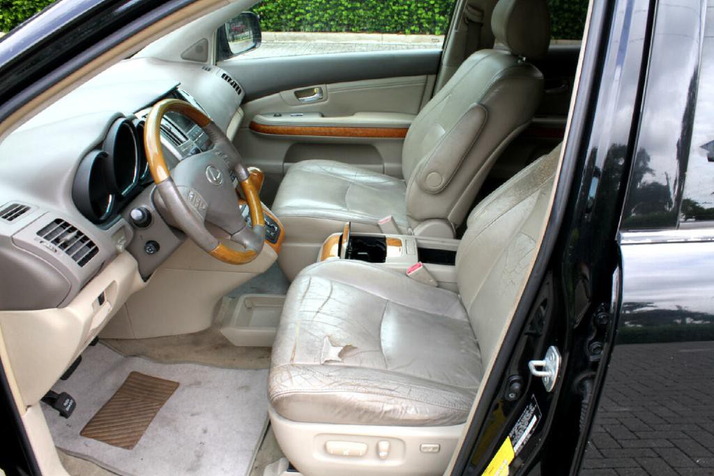 2009 Lexus RX 350 Image 9