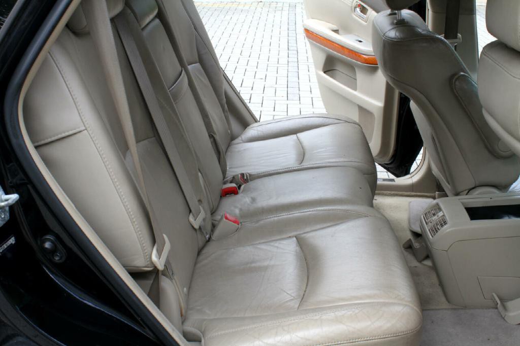 2009 Lexus RX 350 Image 13