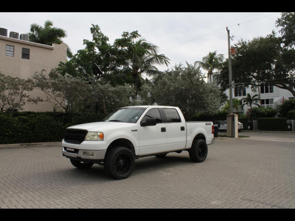 2005 Ford F-150 Image 1