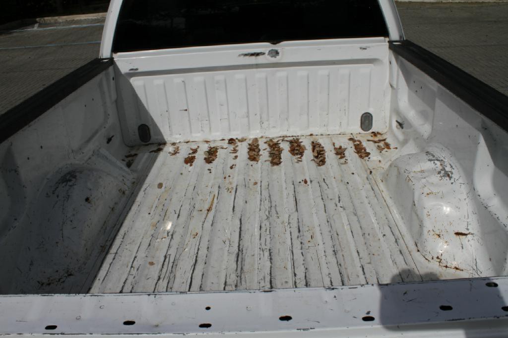 2010 Ford F-150 Image 12