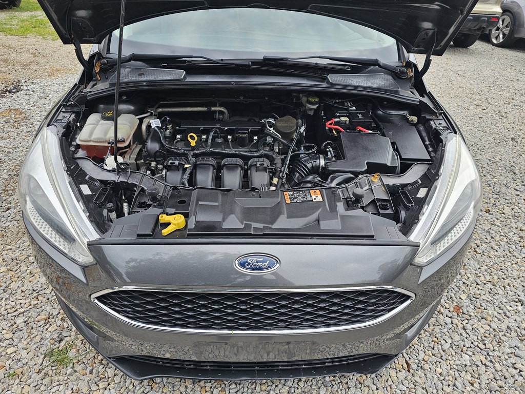 2016 Ford Focus Image 27