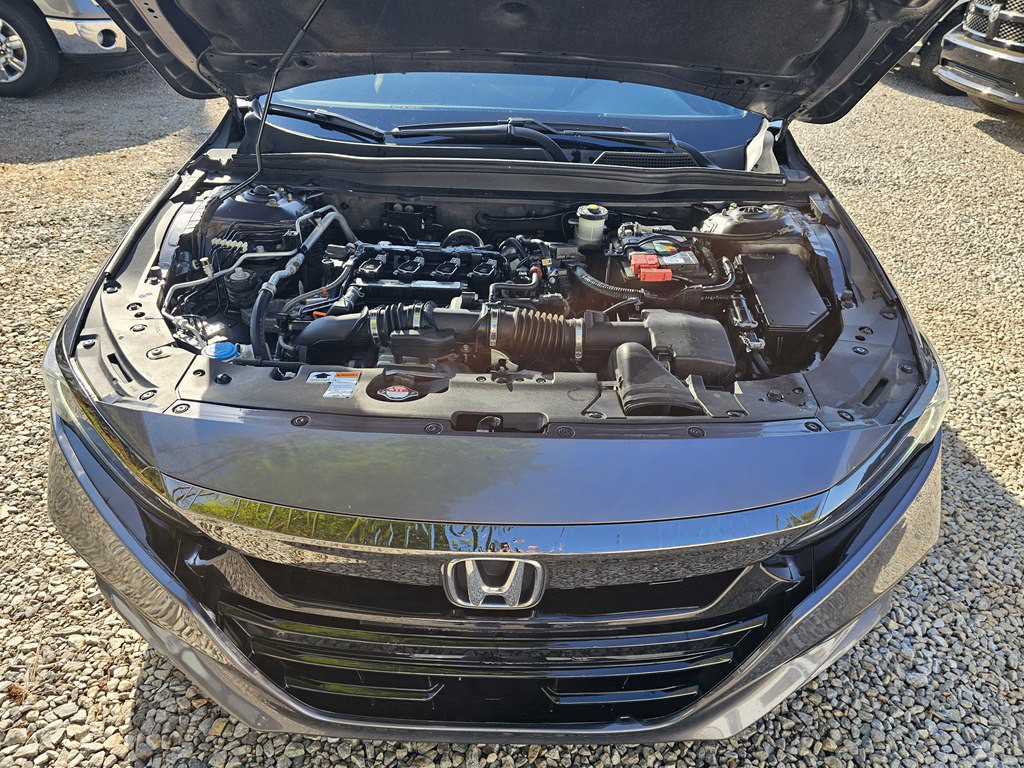 2019 Honda Accord Image 28