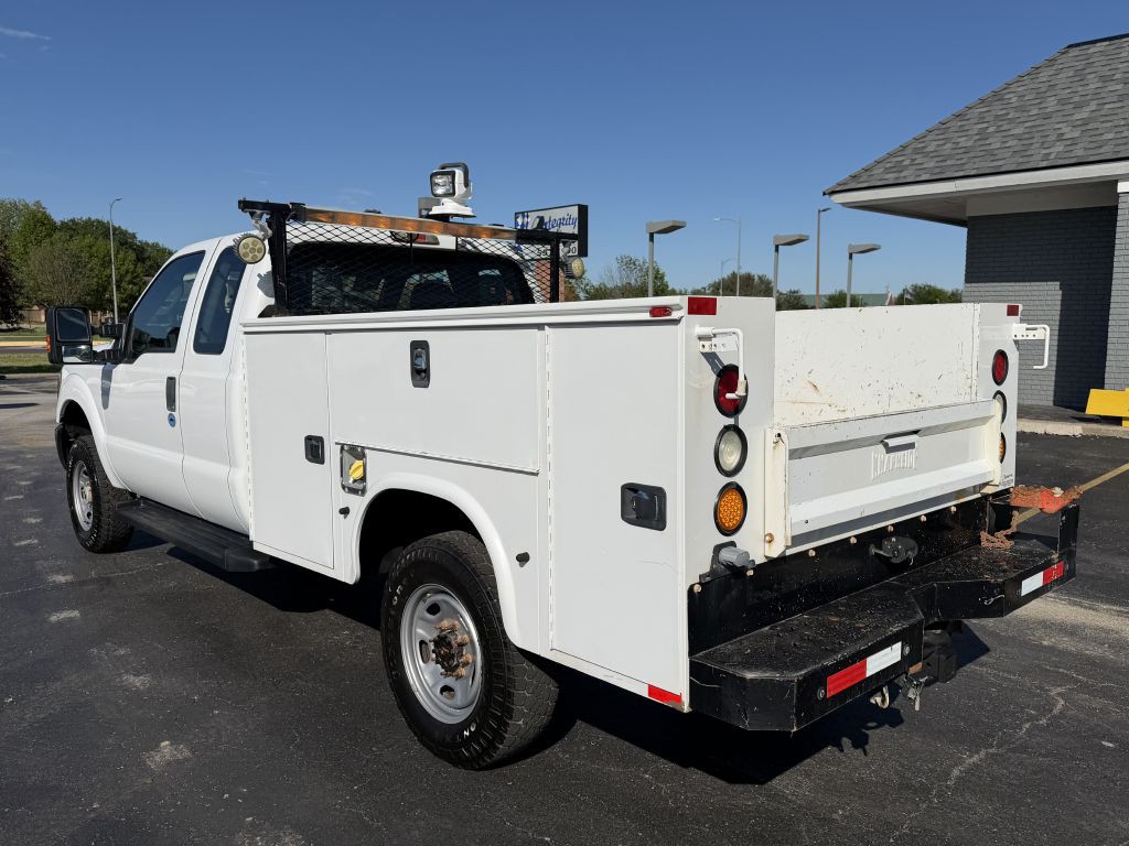 2016 Ford F-250 Image 3