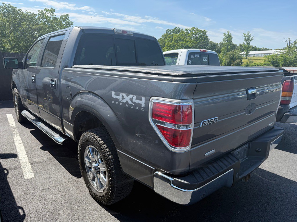 2011 Ford F-150 Image 3
