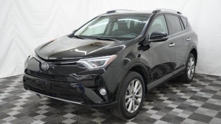 Image for 2017 Toyota Rav4 Limited ID: 7317136