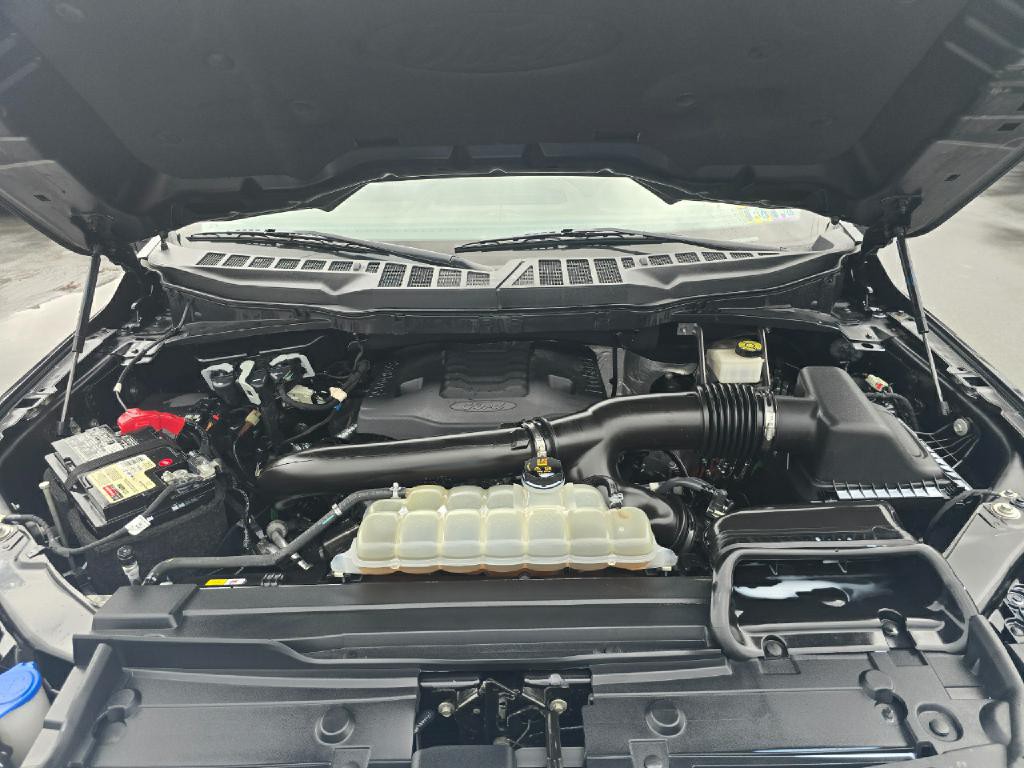 2021 Ford F-150 Image 19