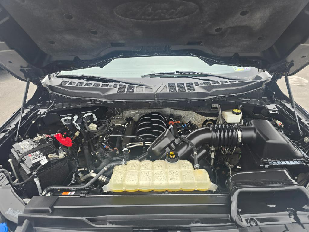 2022 Ford F-150 Image 19