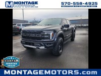 Image for 2024 Ford F-150 Raptor SuperCrew ID: 7292576