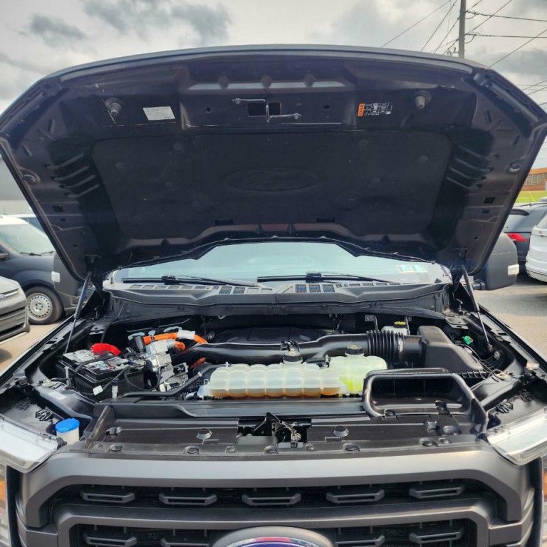 2023 Ford F-150 Image 19