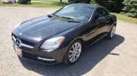 Image for 2016 Mercedes-Benz SLK-Class SLK 300 ID: 3221332