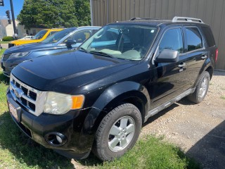 Image for 2010 Ford Escape XLT ID: 6621645