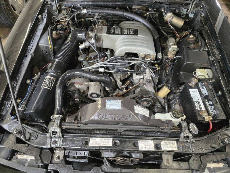 1986 Mercury Capri Image 12