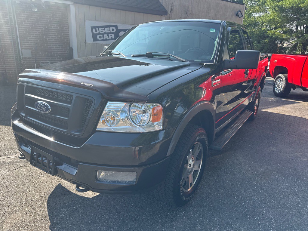 2005 Ford F-150 Image 1