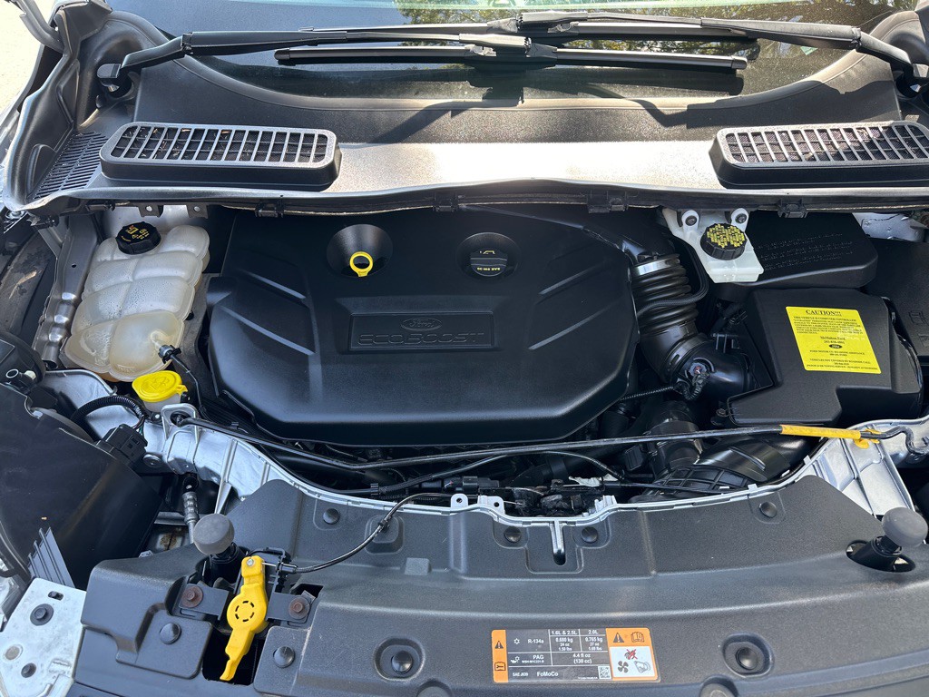 2014 Ford Escape Image 14