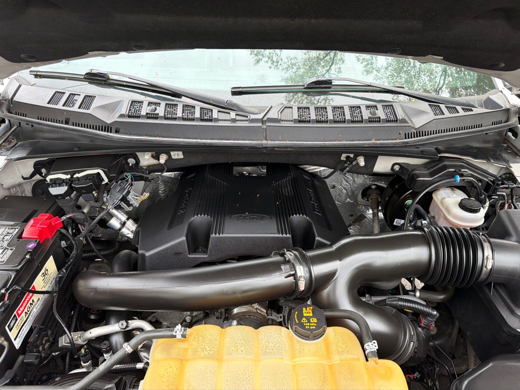 2019 Ford F-150 Image 14