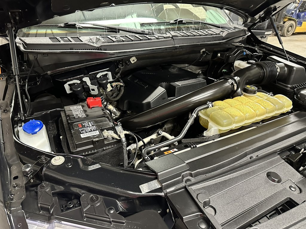 2020 Ford F-150 Image 19