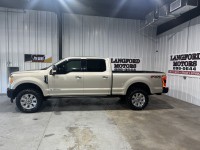 Image for 2017 Ford F-250 Platinum ID: 6763920