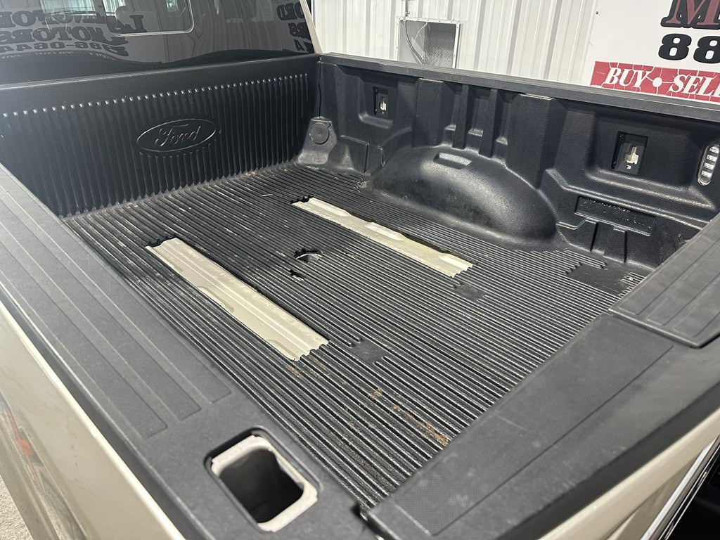 2017 Ford F-250 Image 5