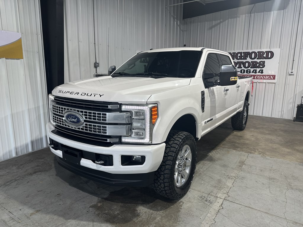 2017 Ford F-250 Image 2