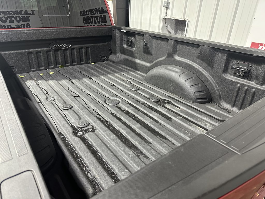 2021 Ford F-250 Image 6