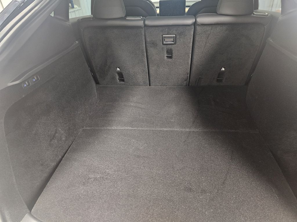 2023 Tesla Model Y Image 12