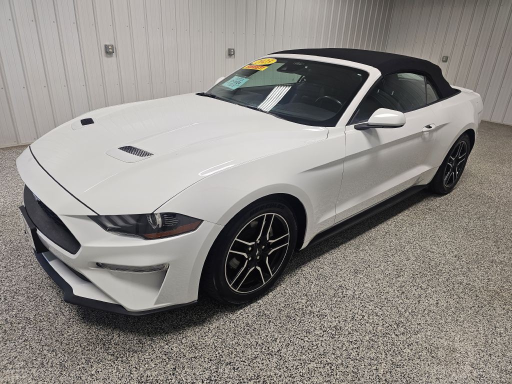 2023 Ford Mustang Image 1