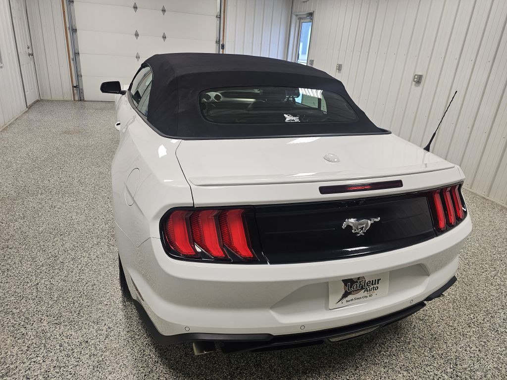 2023 Ford Mustang Image 5