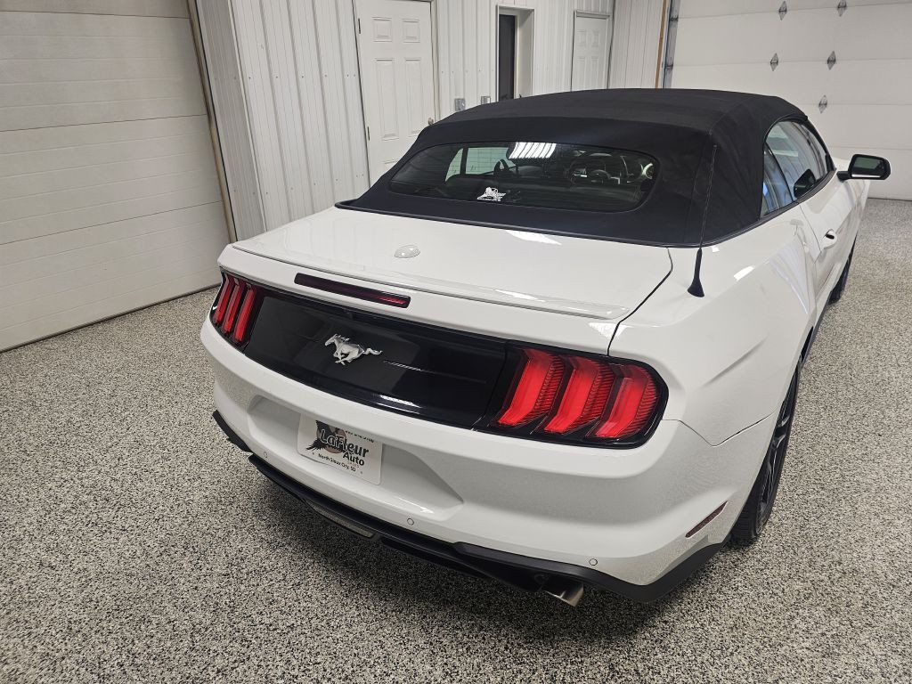2023 Ford Mustang Image 6