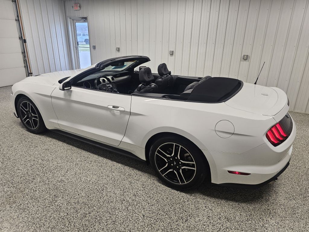 2023 Ford Mustang Image 8