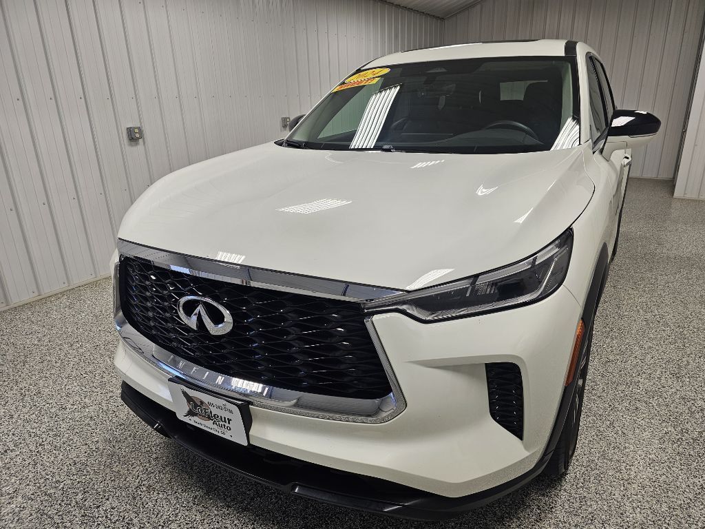 2024 INFINITI QX60 Image 4