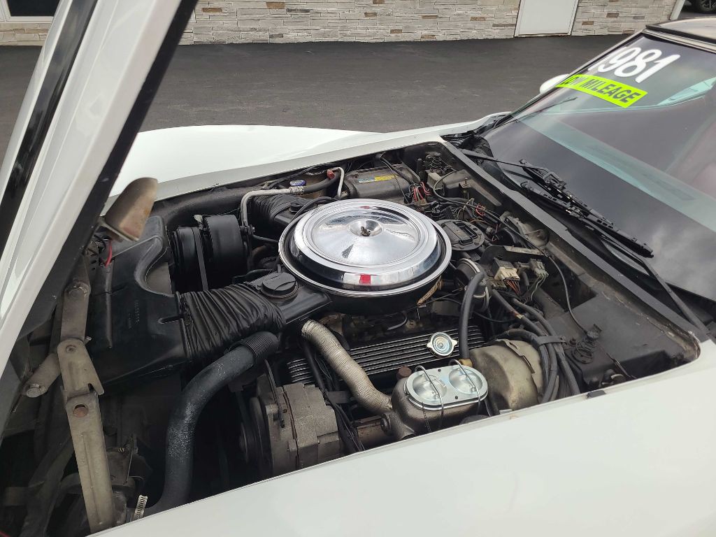 1981 Chevrolet Corvette Image 22