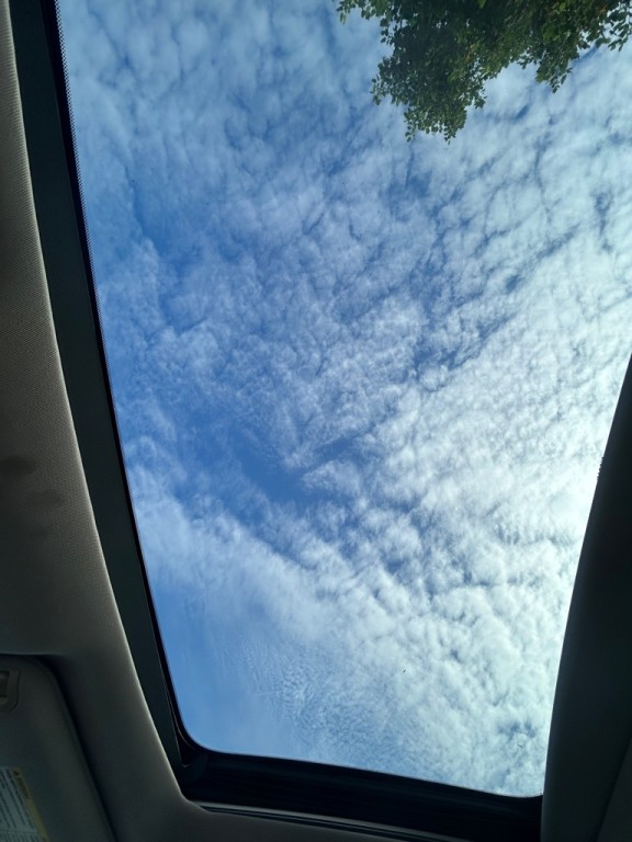 2014 Nissan Maxima Image 12