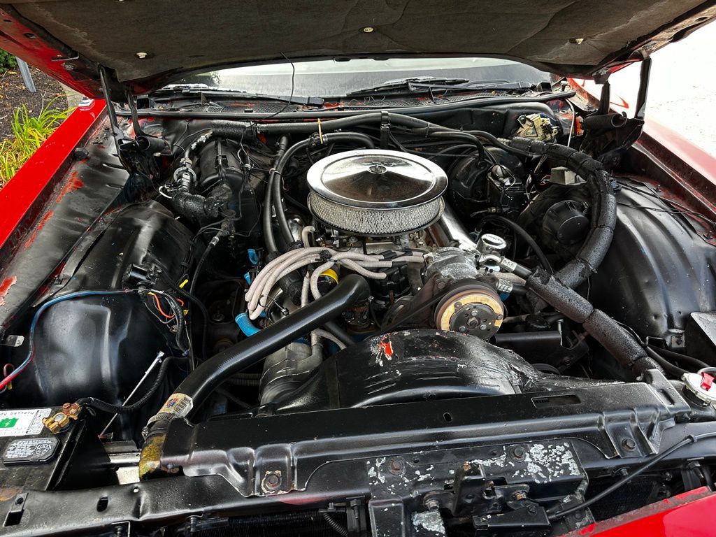 1975 Ford LTD Image 28