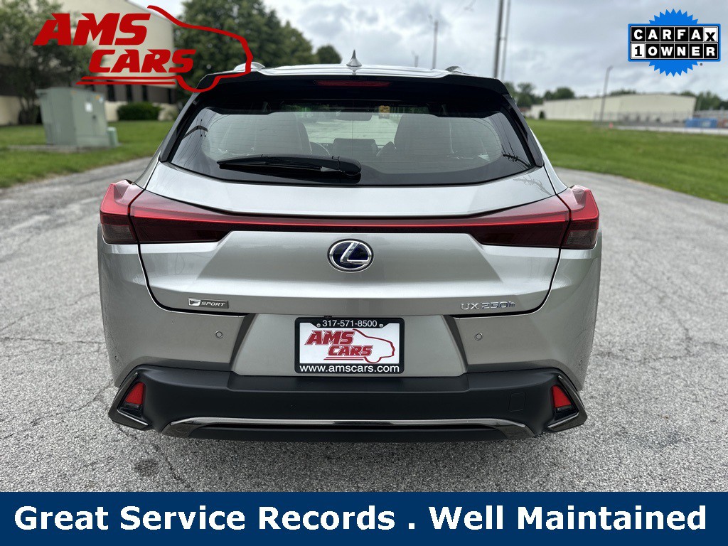 2021 Lexus UX Image 6