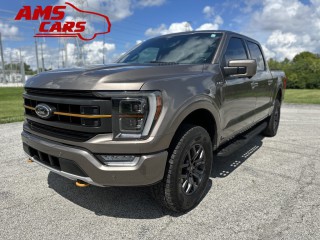 Image for 2022 Ford F-150 Tremor ID: 6671286