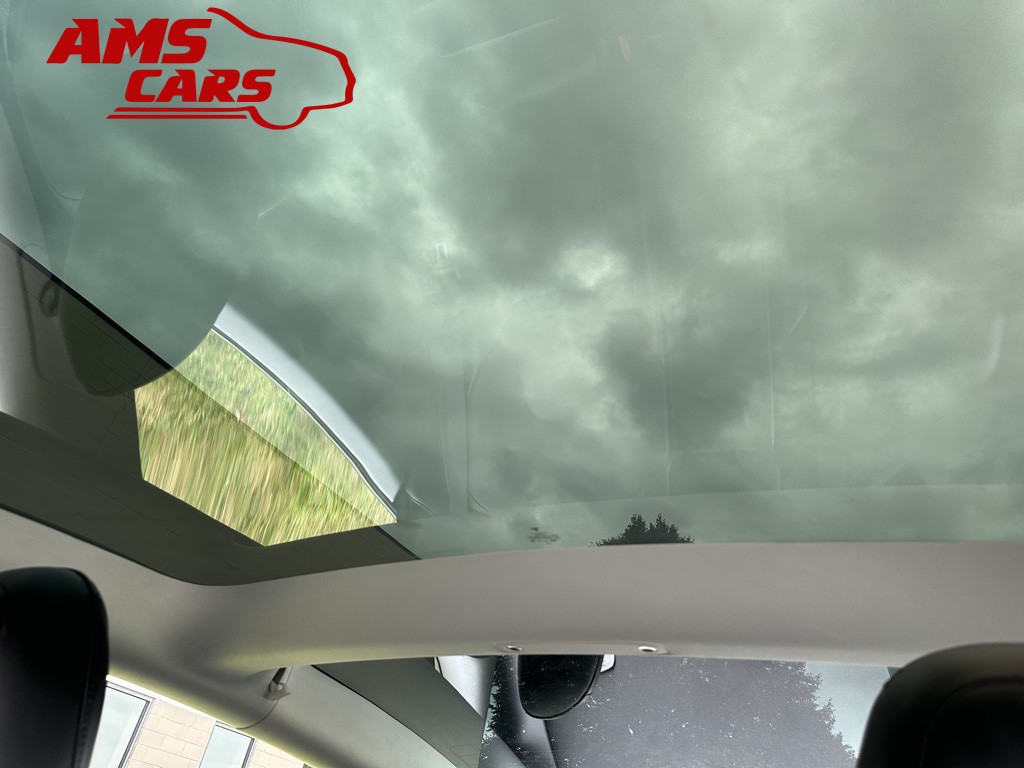 2021 Tesla Model 3 Image 38