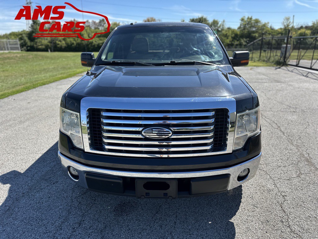 2010 Ford F-150 Image 2