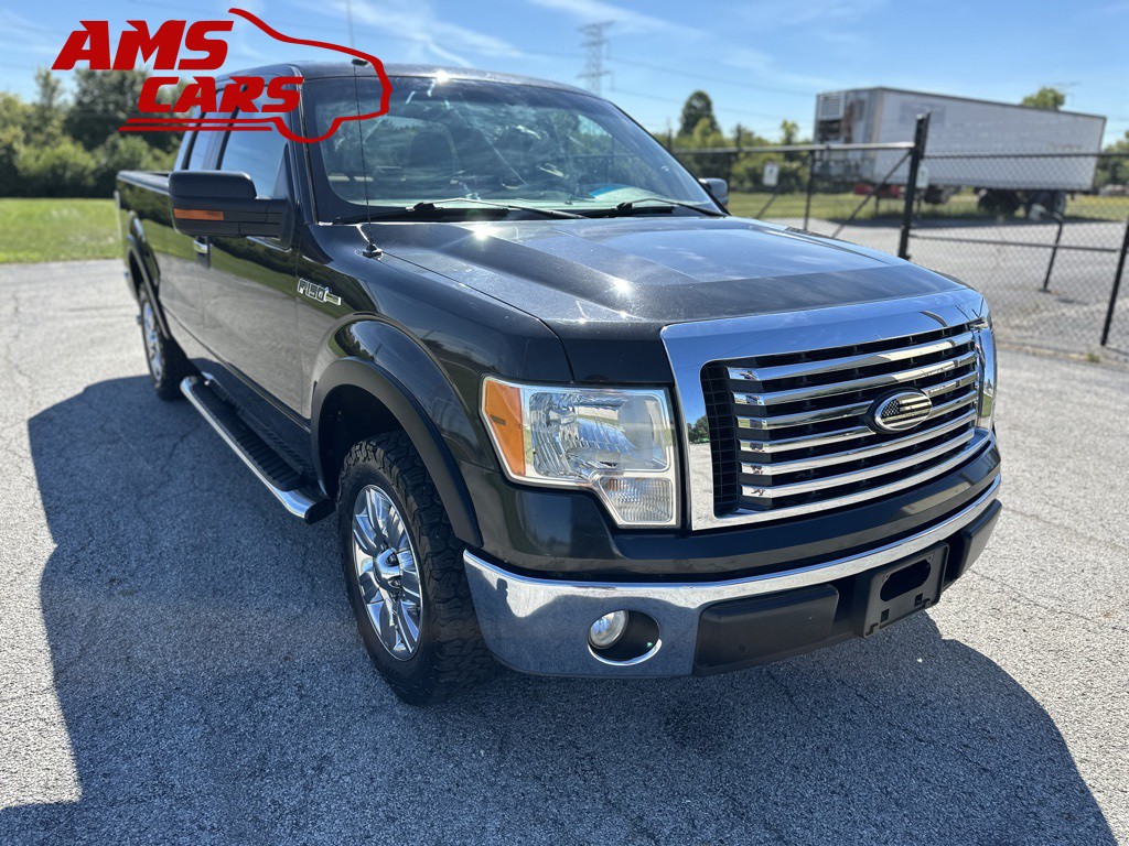 2010 Ford F-150 Image 3
