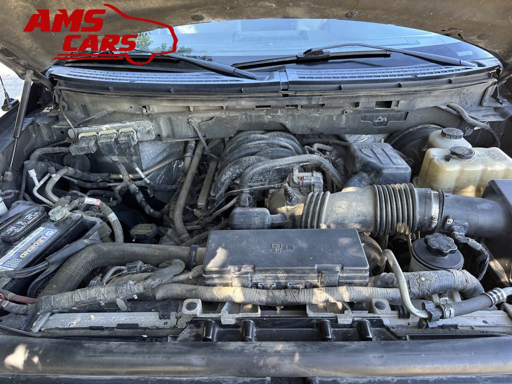2010 Ford F-150 Image 36