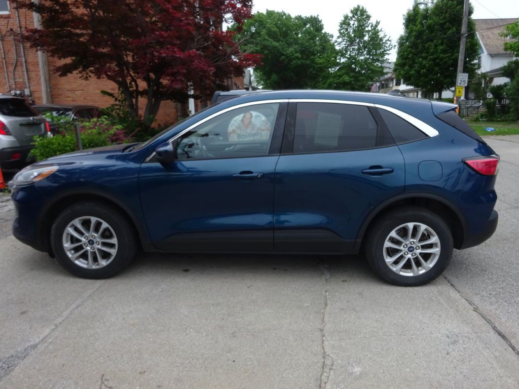 2020 Ford Escape Image 7