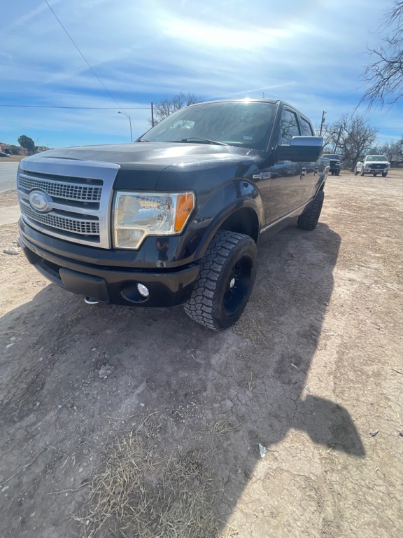 2010 Ford F-150 Image 1
