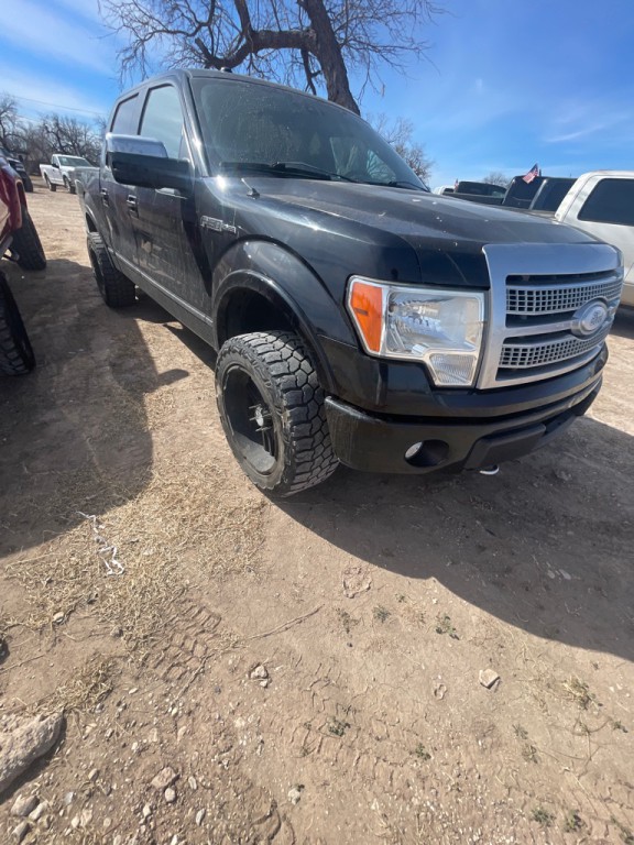 2010 Ford F-150 Image 2