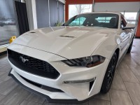 Image for 2018 Ford Mustang EcoBoost Fastback ID: 6752336