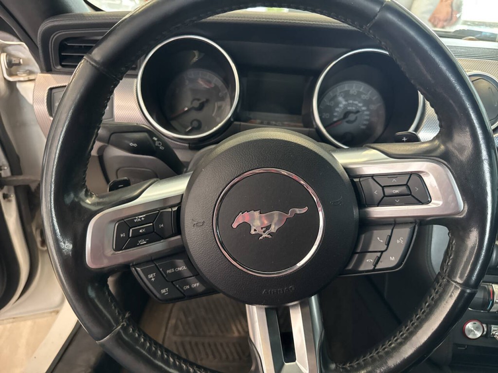 2018 Ford Mustang Image 18