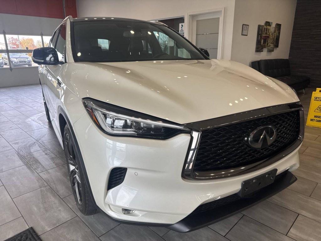 2020 INFINITI QX50 Image 1