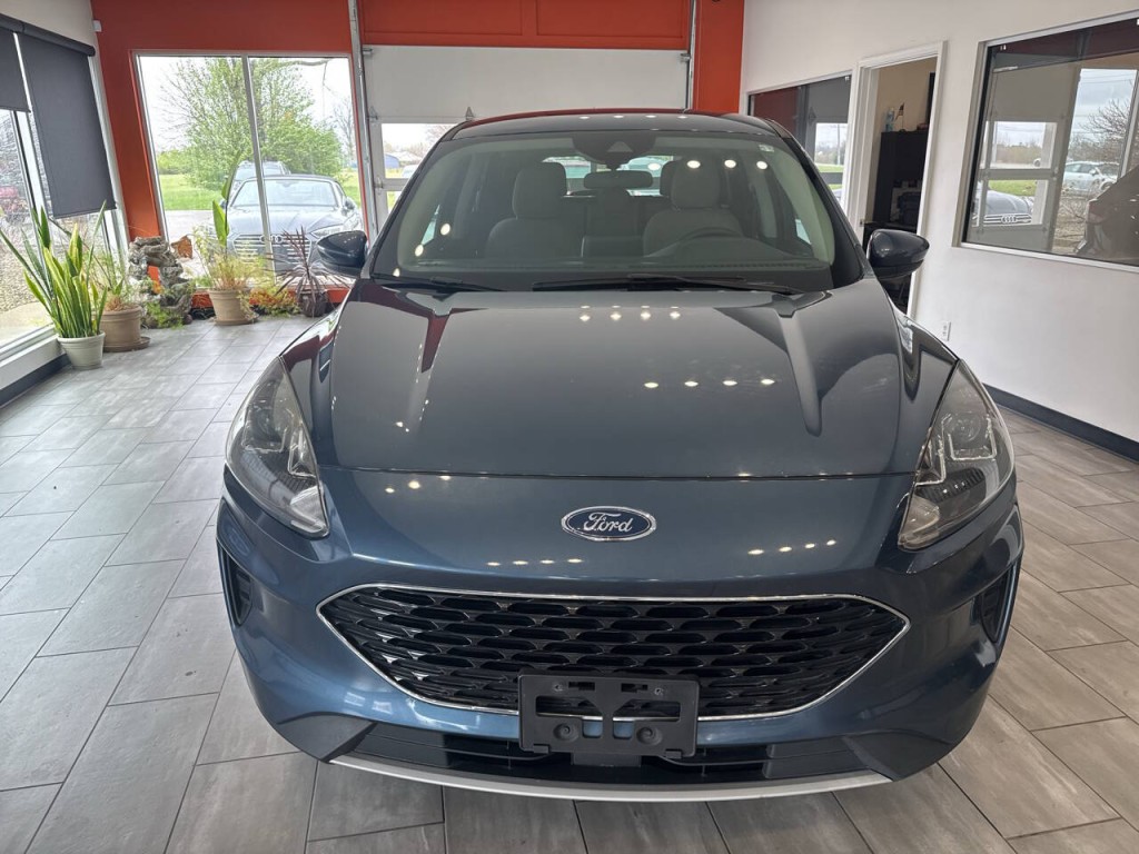 2020 Ford Escape Image 6