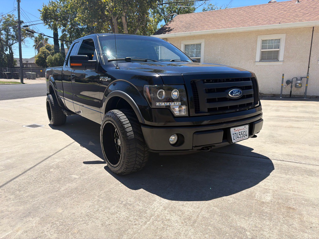2010 Ford F-150 Image 1