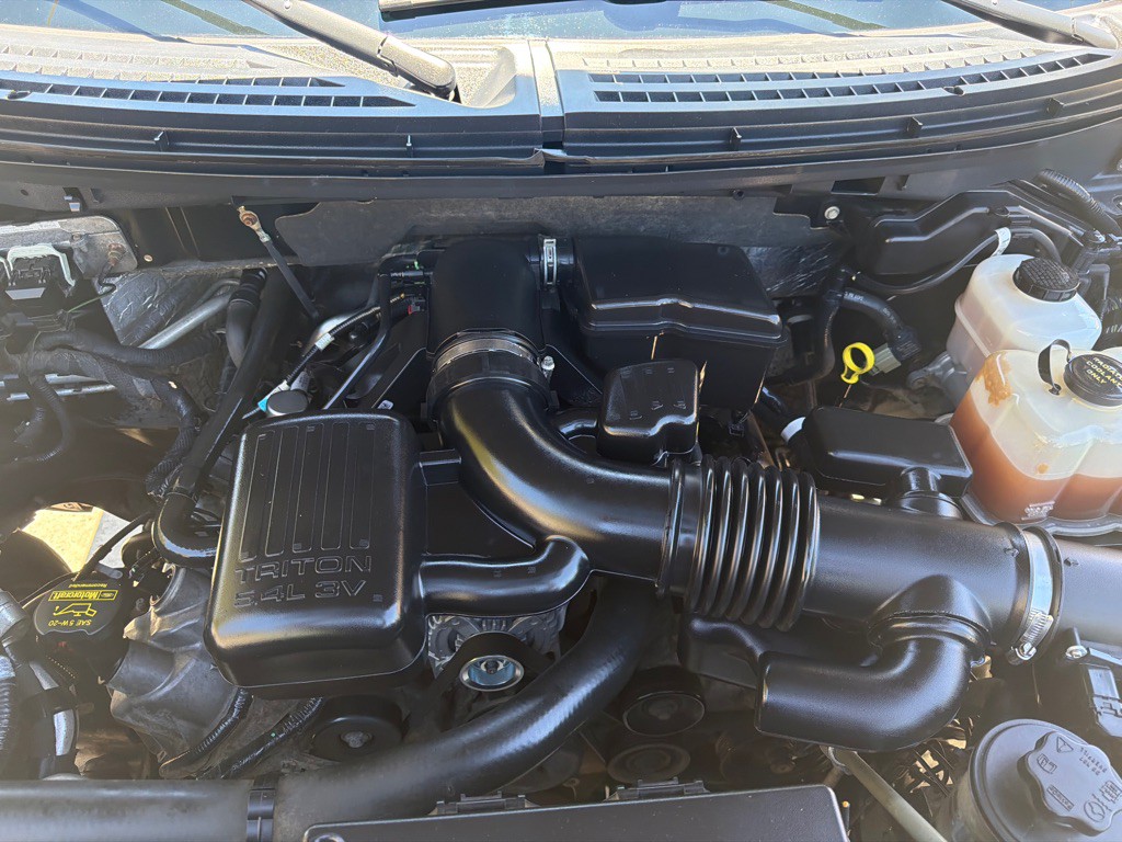 2010 Ford F-150 Image 12