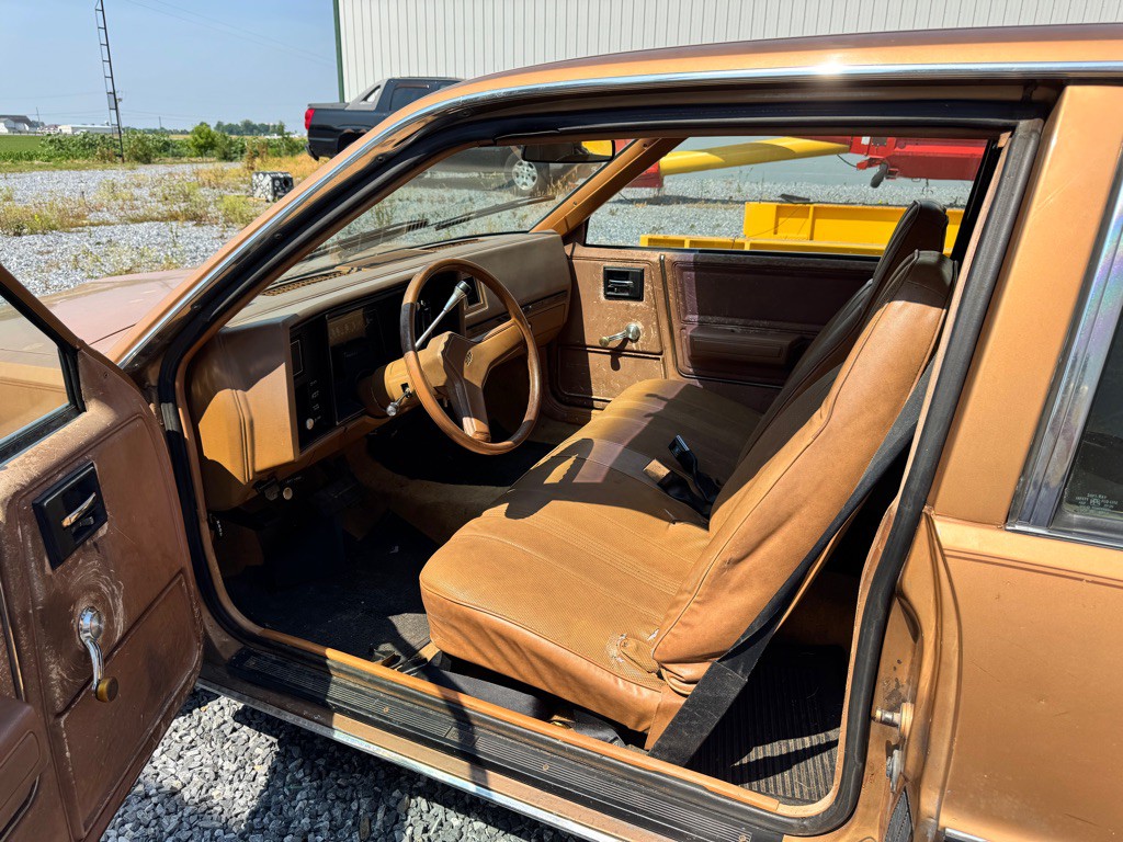 1980 Chevrolet Citation Image 7