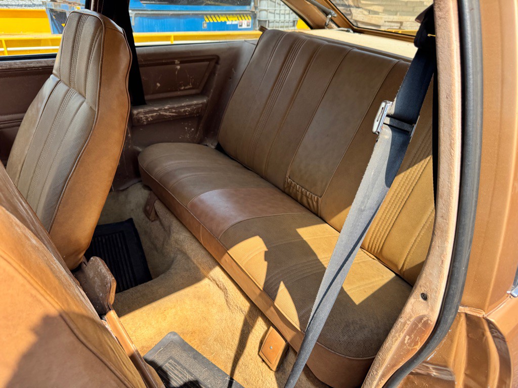 1980 Chevrolet Citation Image 9